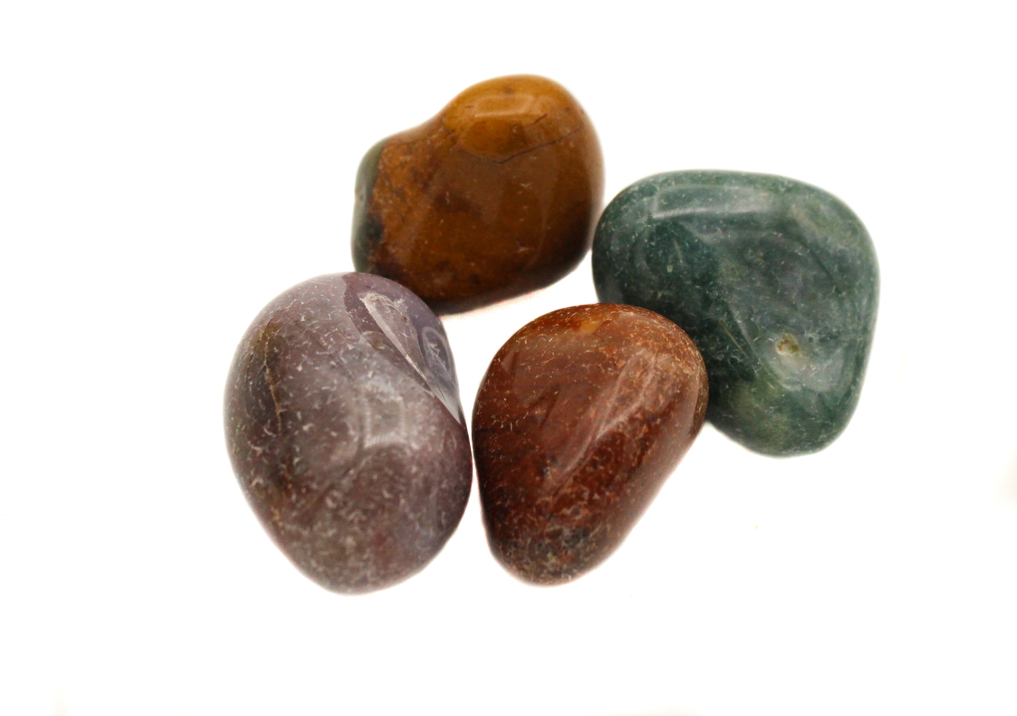 Jasper - Fancy Tumble $9